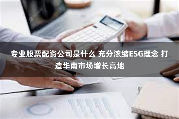 专业股票配资公司是什么 充分浓缩ESG理念 打造华南市场增长高地