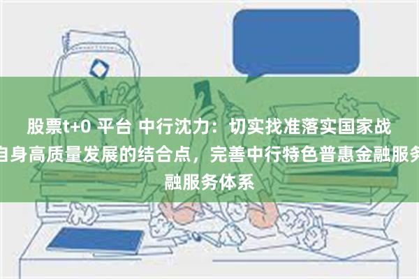 股票t+0 平台 中行沈力：切实找准落实国家战略和自身高质量发展的结合点，完善中行特色普惠金融服务体系