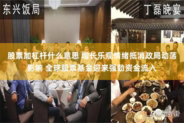 股票加杠杆什么意思 增长乐观情绪抵消政局动荡影响 全球股票基金迎来强劲资金流入