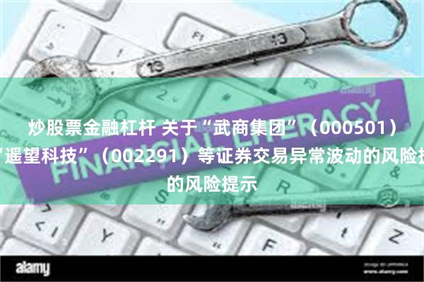 炒股票金融杠杆 关于“武商集团”（000501）、“遥望科技”（002291）等证券交易异常波动的风险提示