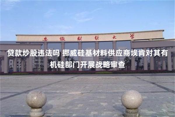 贷款炒股违法吗 挪威硅基材料供应商埃肯对其有机硅部门开展战略审查