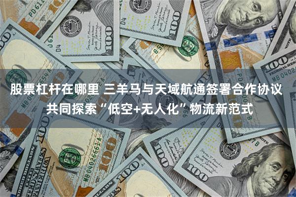 股票杠杆在哪里 三羊马与天域航通签署合作协议  共同探索“低空+无人化”物流新范式