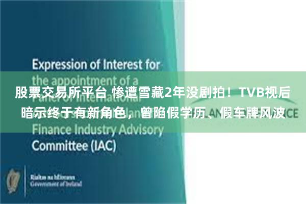 股票交易所平台 惨遭雪藏2年没剧拍！TVB视后暗示终于有新角色，曾陷假学历、假车牌风波